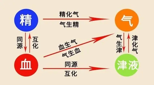 养生:赤龙搅天池——身体里的“养生圣物”! 养生:赤龙搅天池——身体里的“养生圣物”!